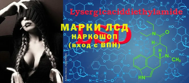 где найти наркотики  Нестеровская  кракен tor  ЛСД экстази ecstasy 